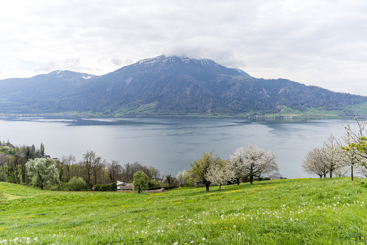 Panorama do Monte Rigi e do Lago de Zug