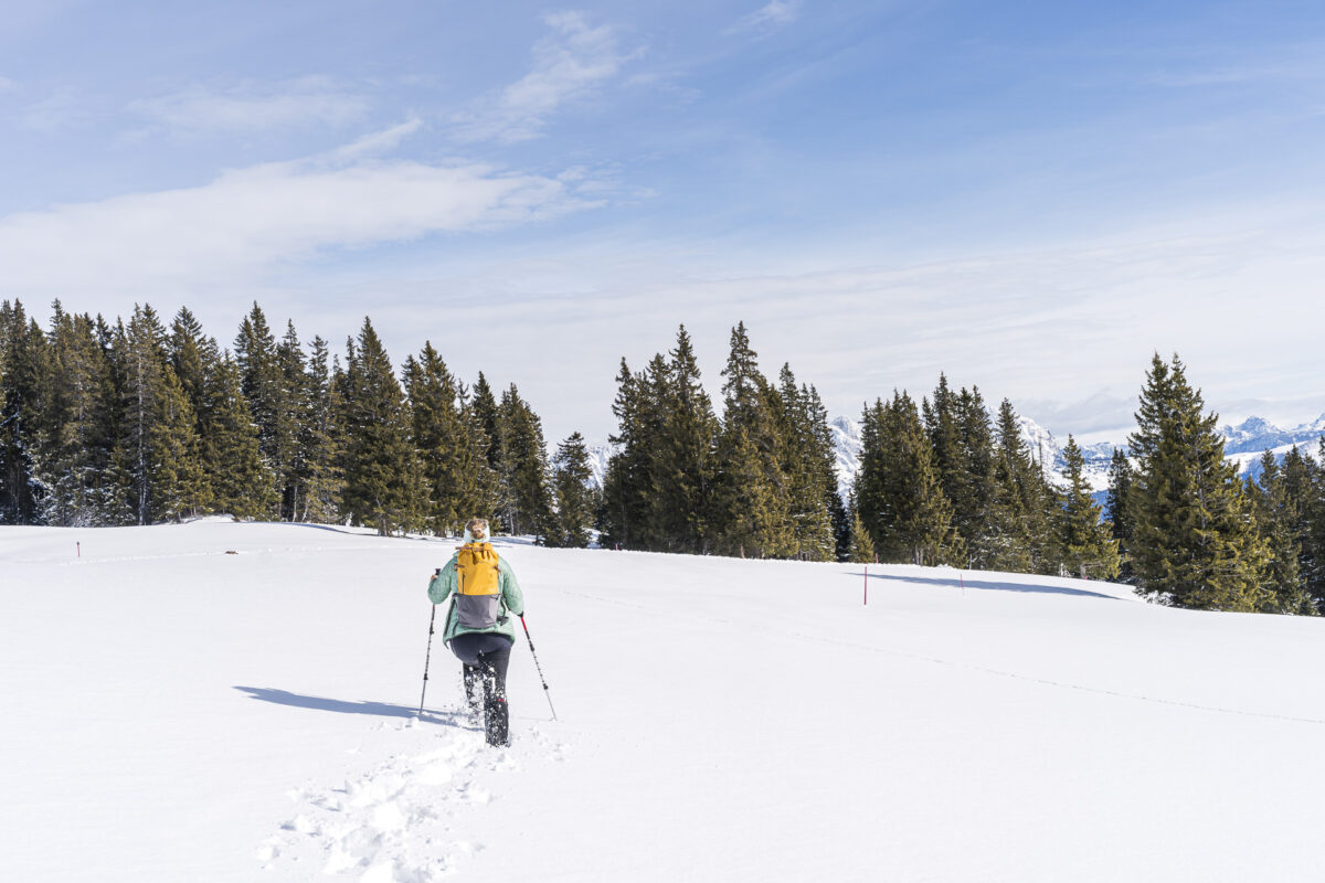 Snowshoeing at Panüöl