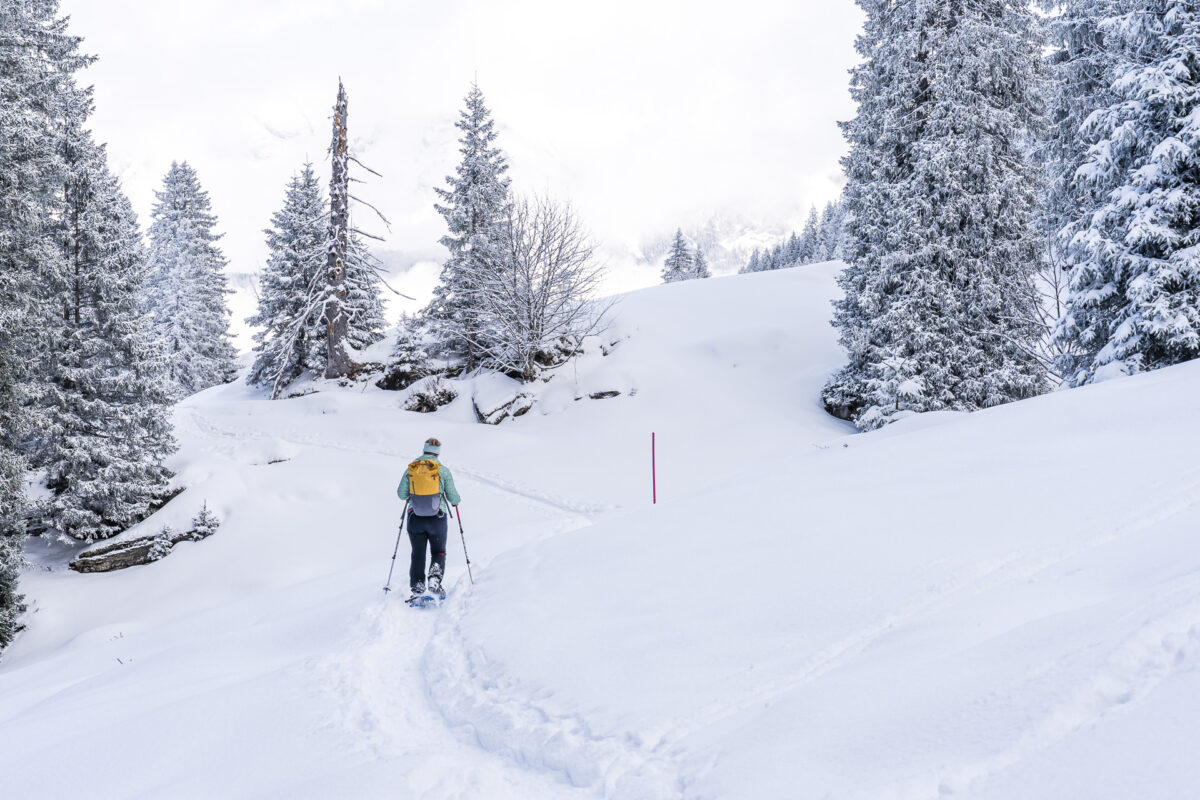 Sellamatt snowshoe trail