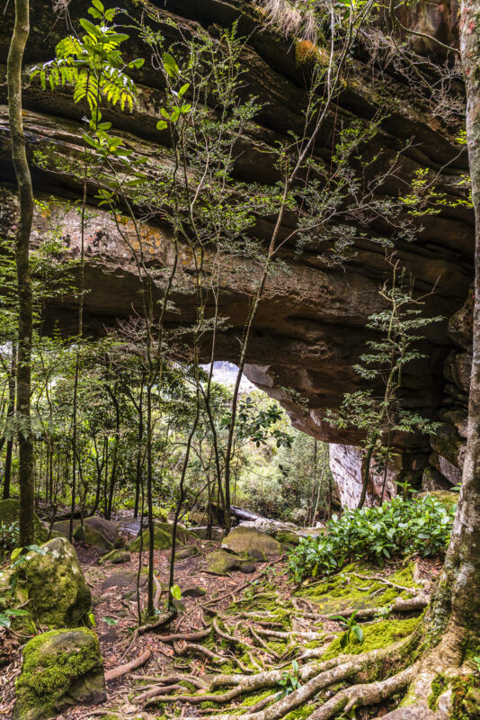 Sentier vers le Morro do Castelo (Castle Hill)