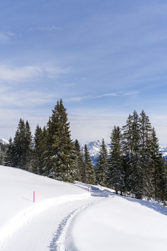 Winter hiking near Prodalp, Flumserberg