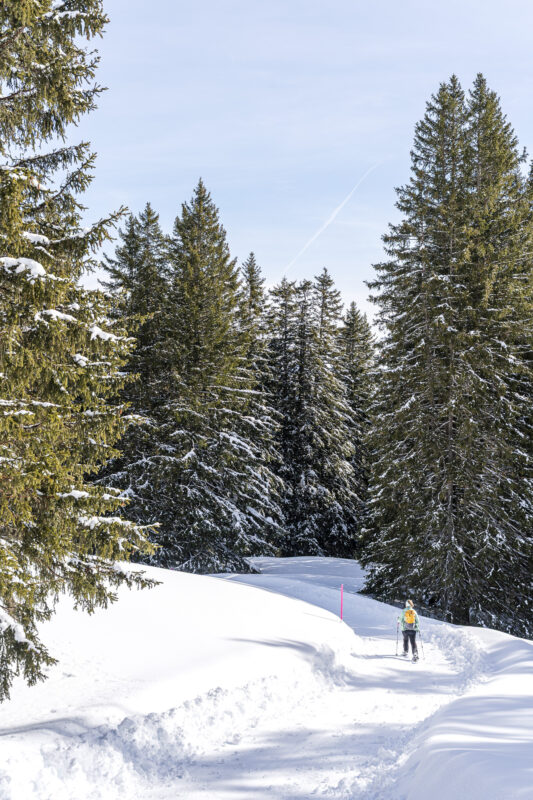 Panüöl–Prodalp trail