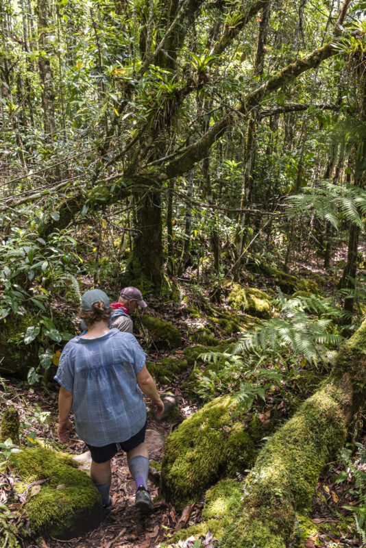 Sentier Morro do Castelo