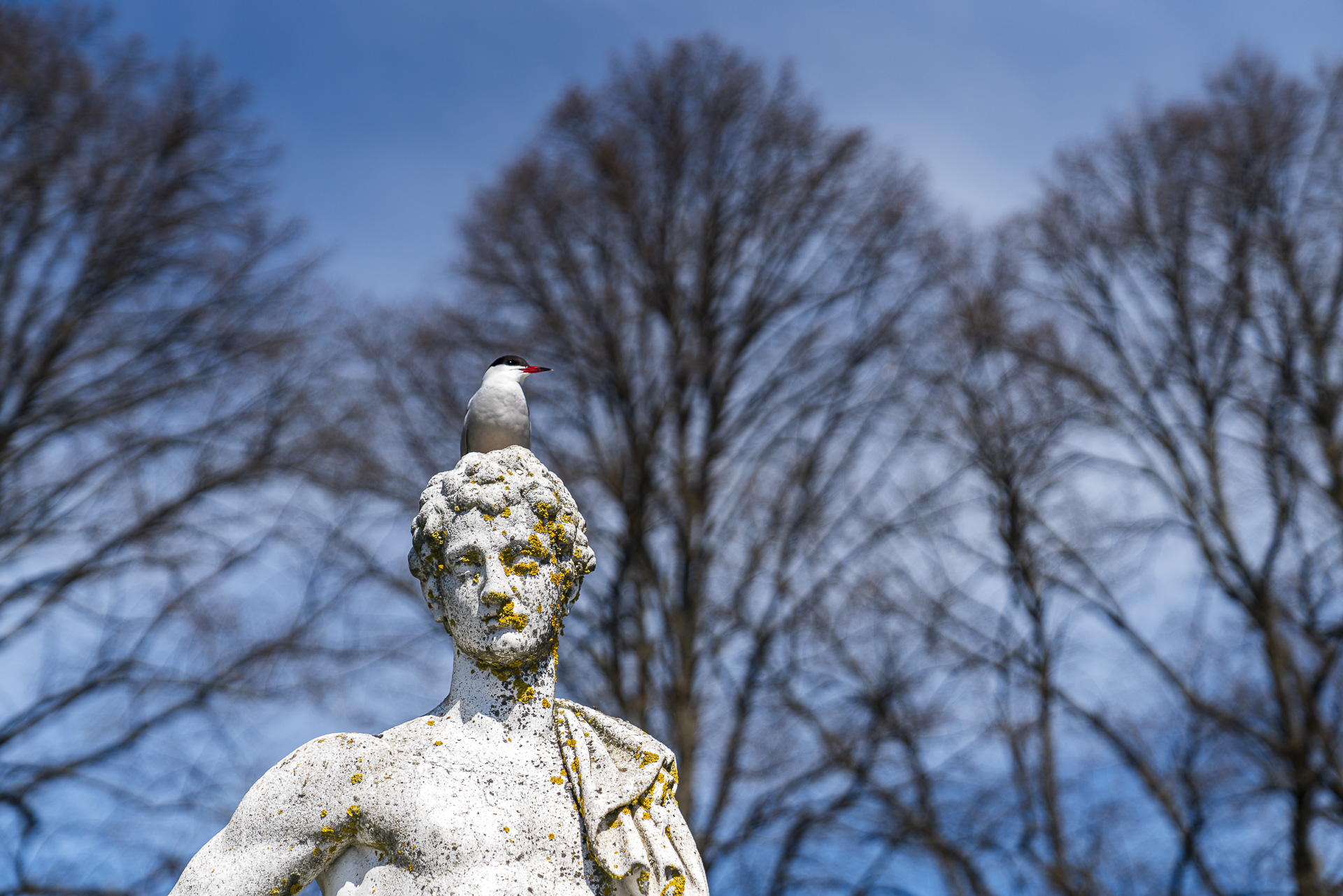 Sculpture dans les jardins du palais de Drottningholm