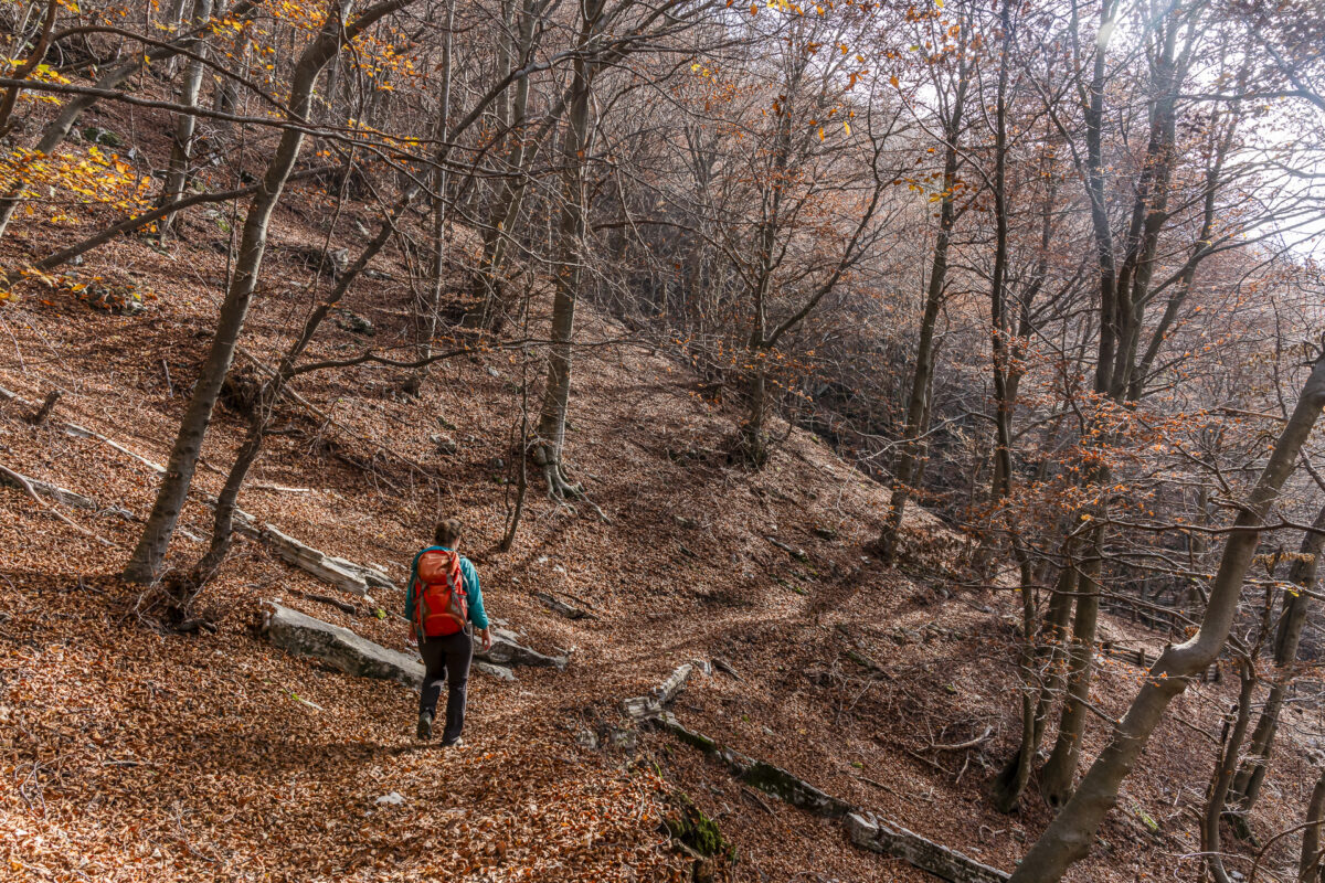 Erbonne hiking trail