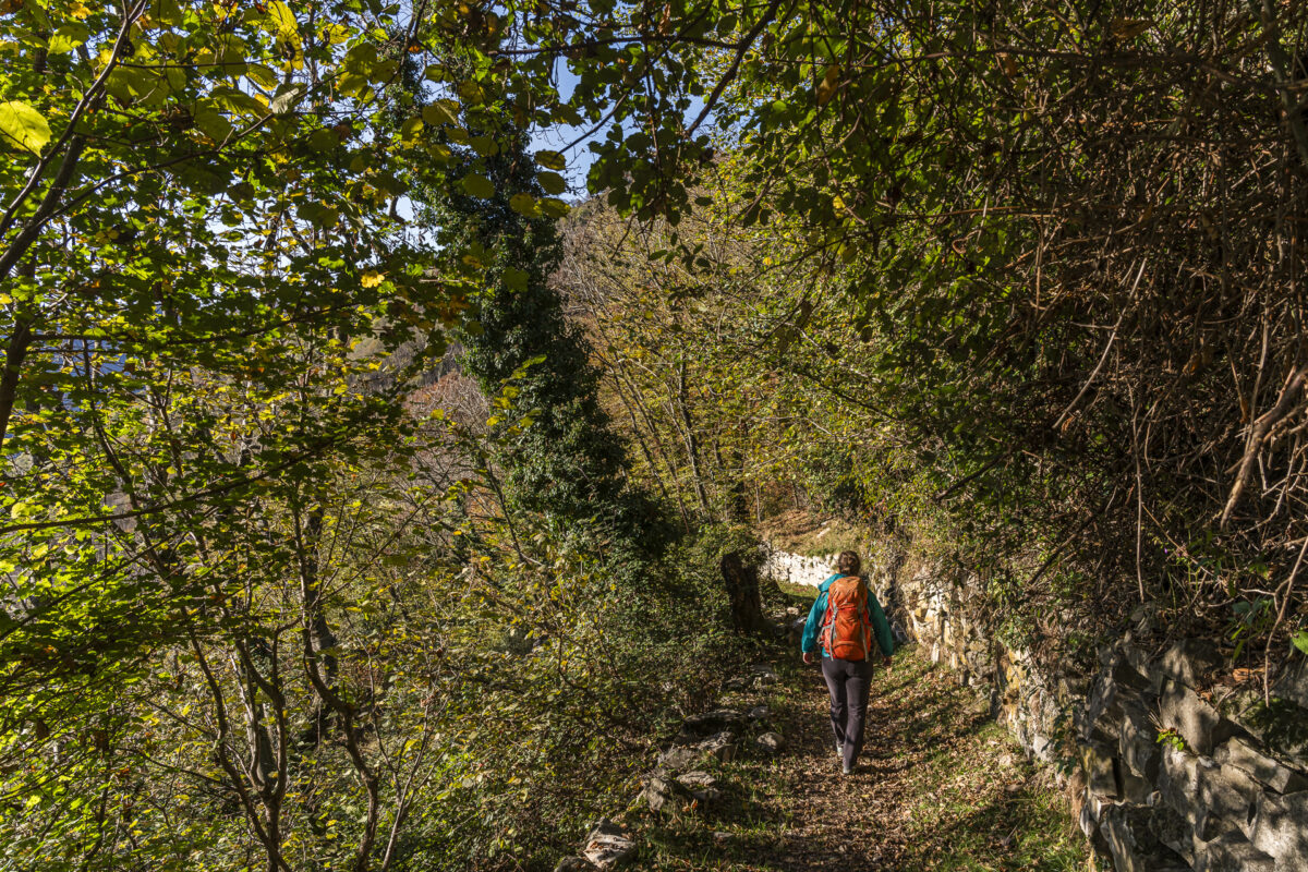 Hiking trail in Val Muggio