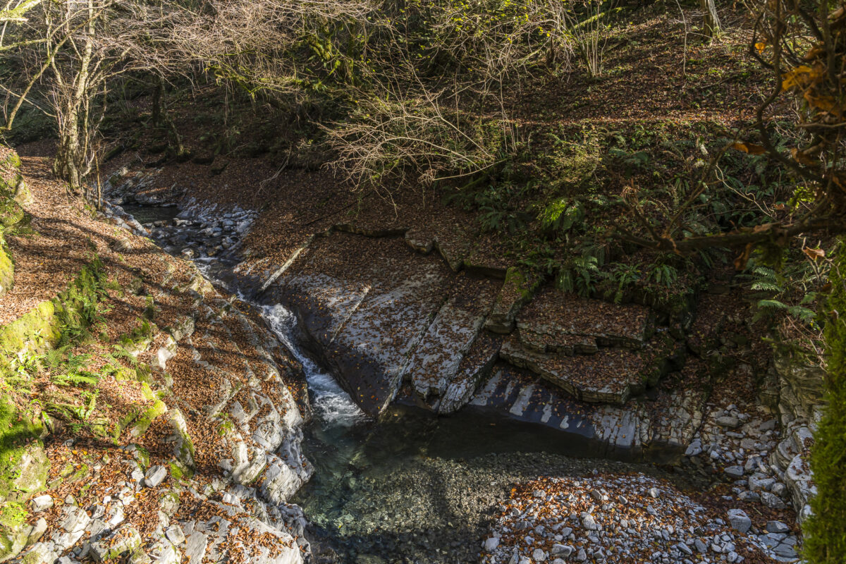 Stream in Val Muggio