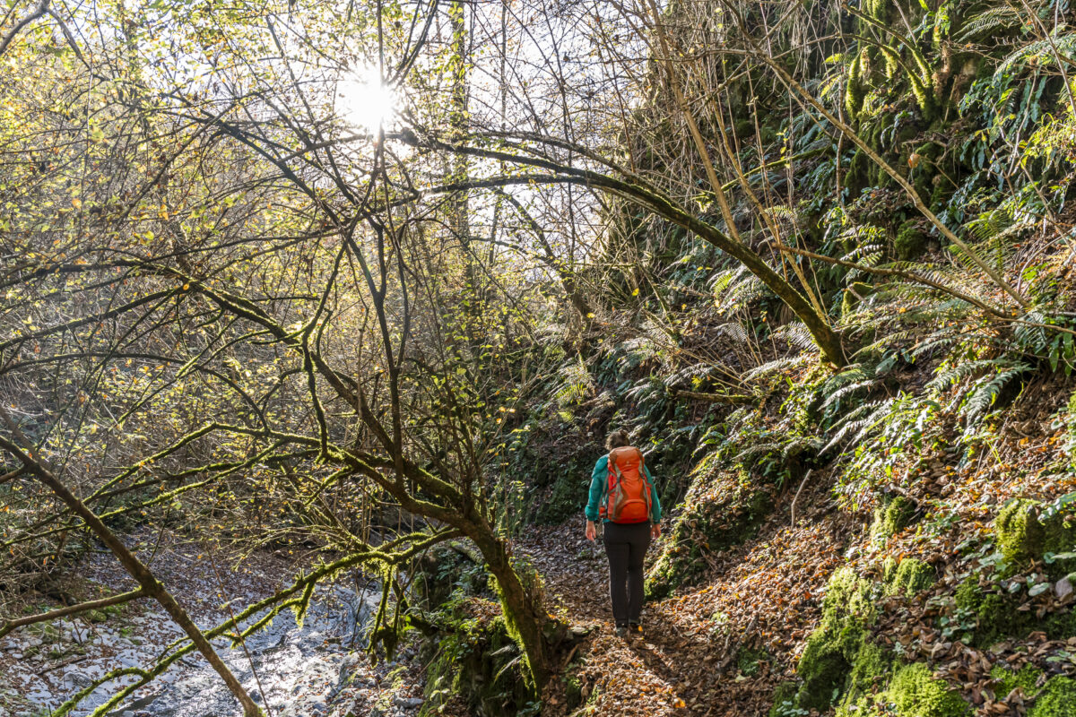 Valley trail in Val Muggio