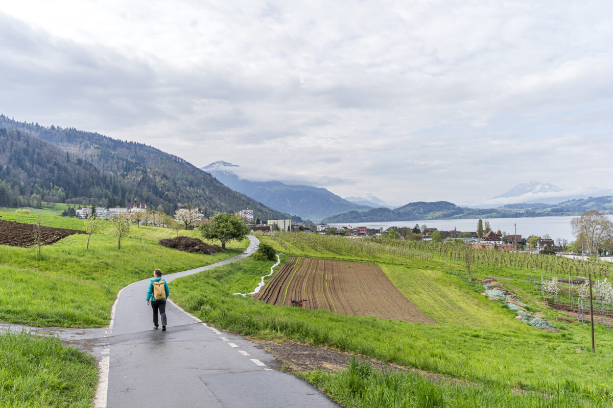 Trilha de caminhada de Zug a Walchwil