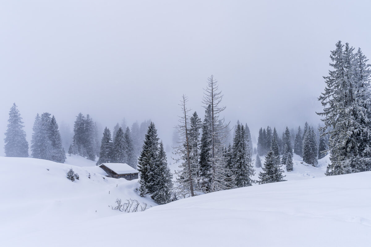 Winter landscape on Alp Sellamatt