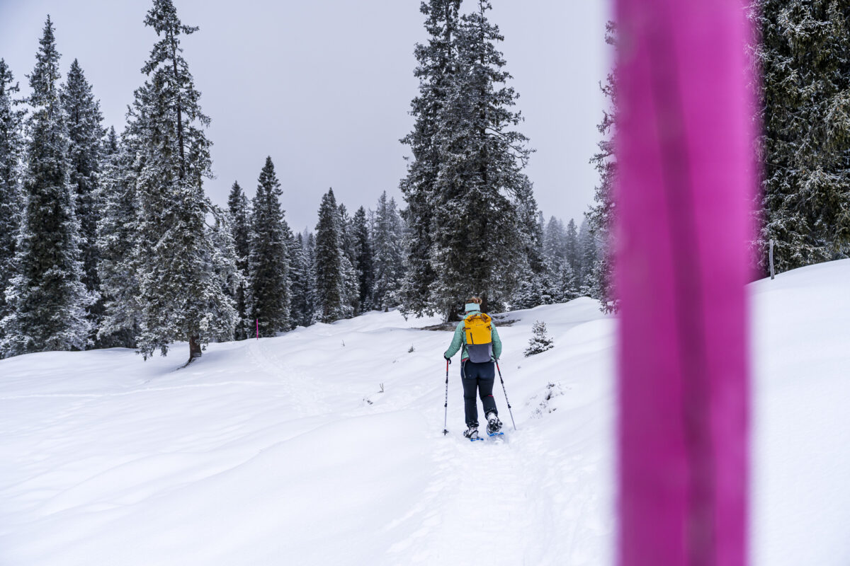 Sellamatt-Zinggen Trail
