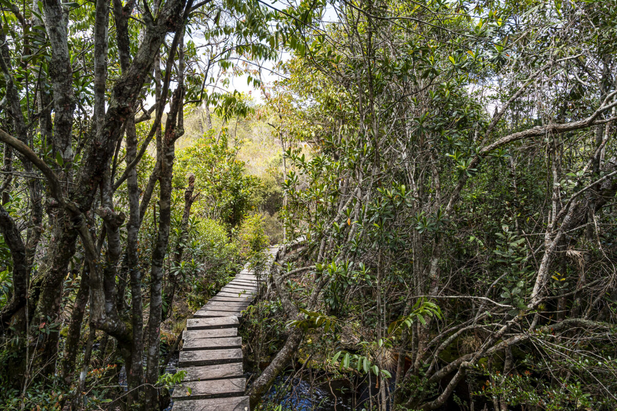 Sentiers de randonnée au Brésil