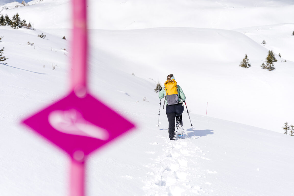 Plattis snowshoe trail signage