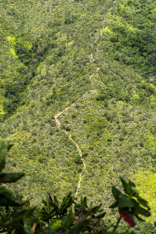 Sentier de randonnée dans le Vale do Pati