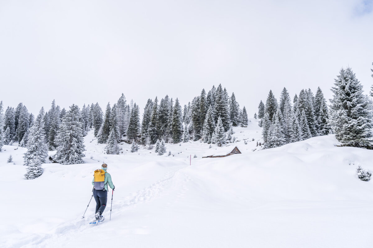 Snowshoe hike in Toggenburg