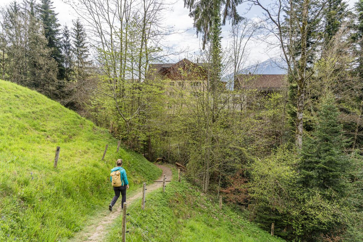 Caminhada de Zug a Walchwil