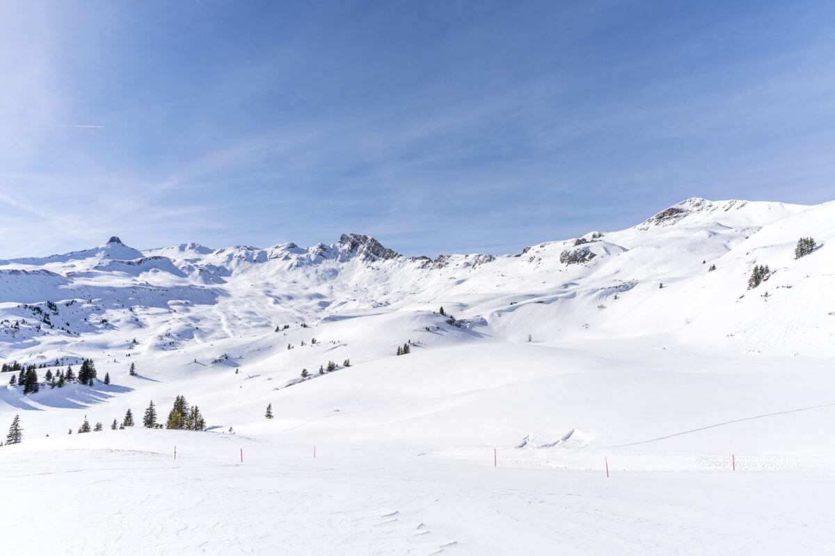 Flumserberg Panüöl