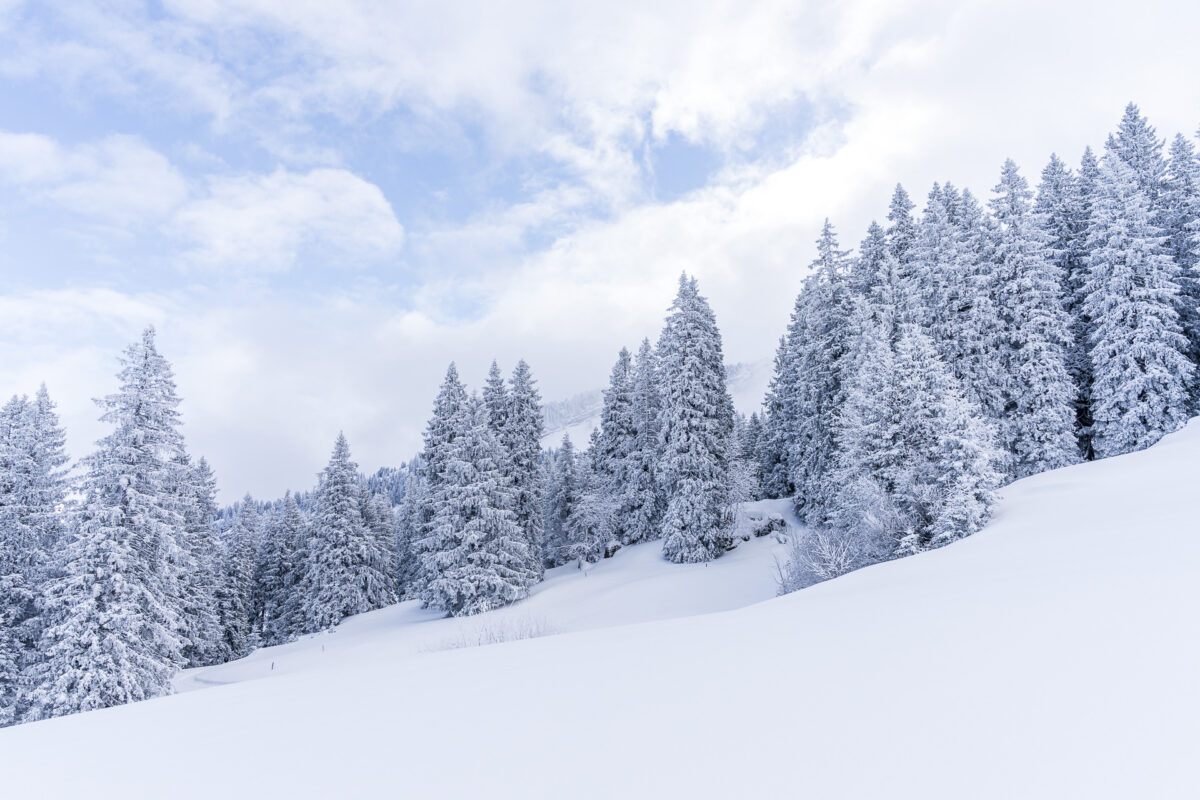 Winter in Toggenburg