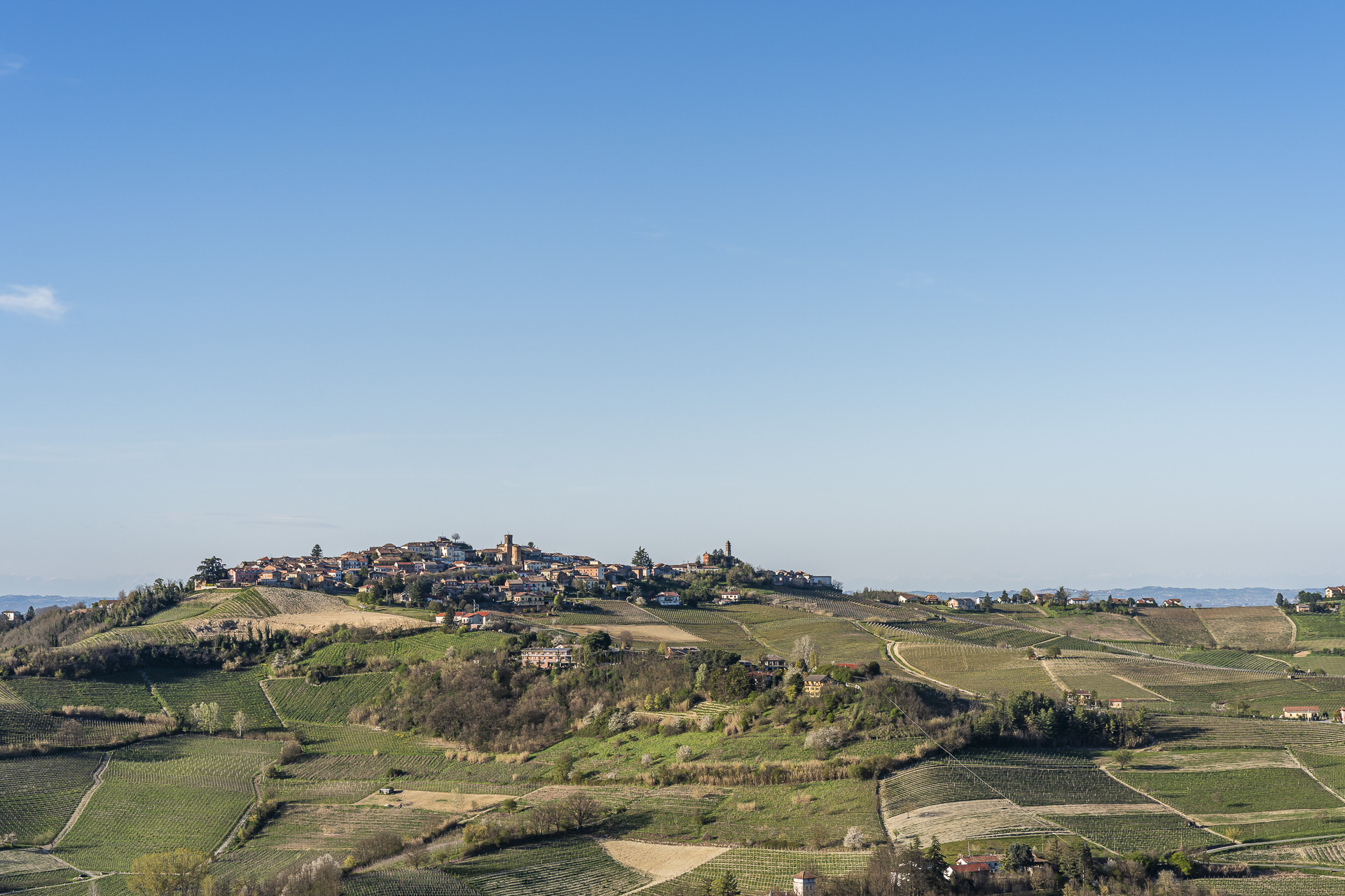 Monferrato hills