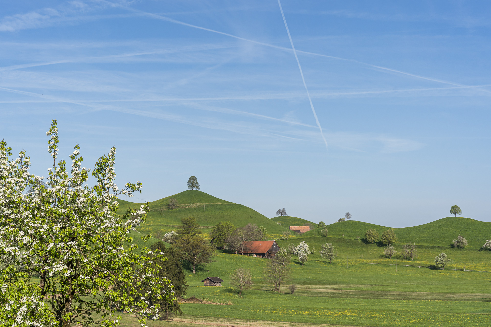 Moraine hummocks near Menzingen