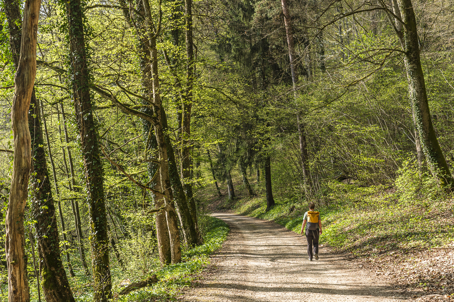 Trilha na floresta de Nuglar a Büren