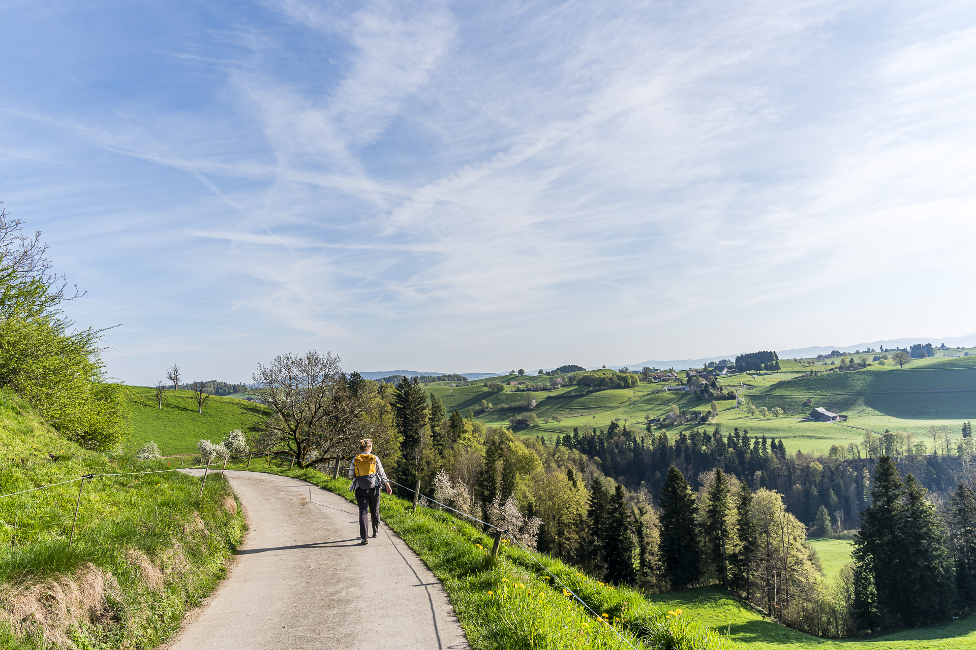 View over the Sihl Valley
