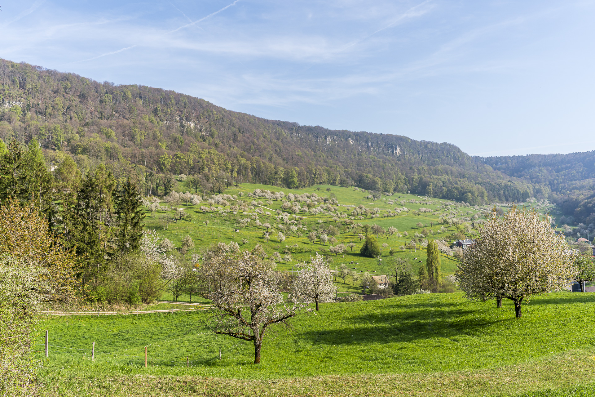 Büren, Solothurn