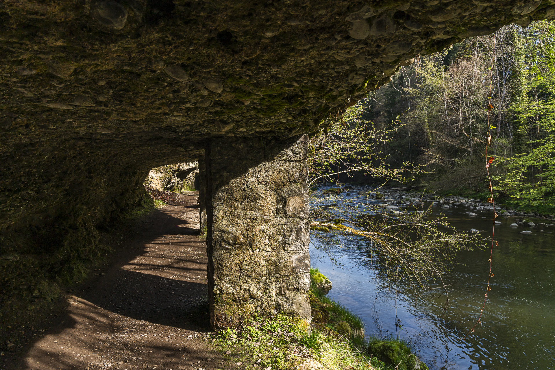 Sihlsprung trail