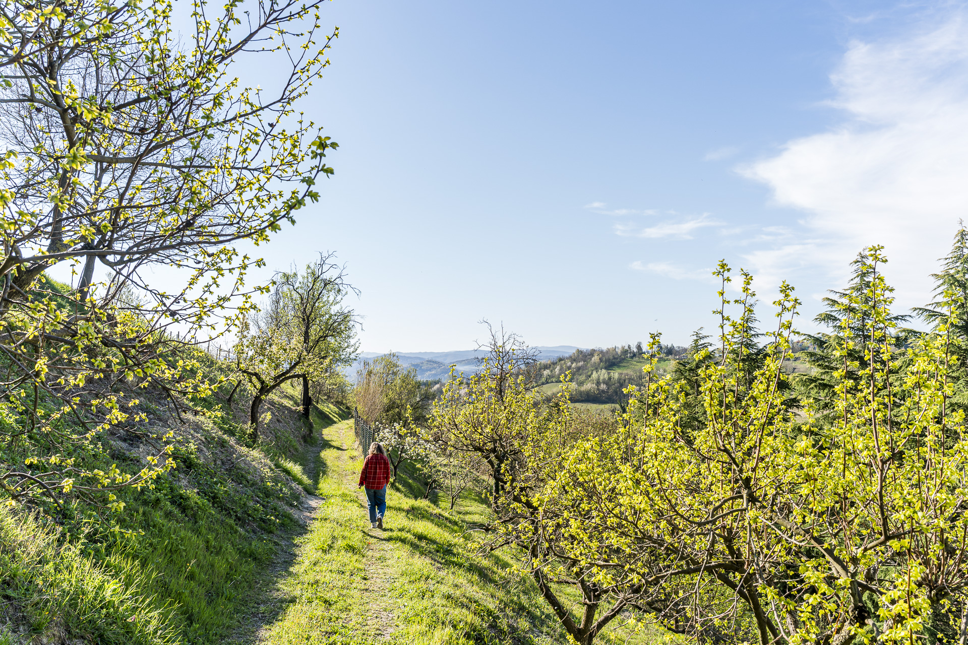Stroll through Giarvino's garden