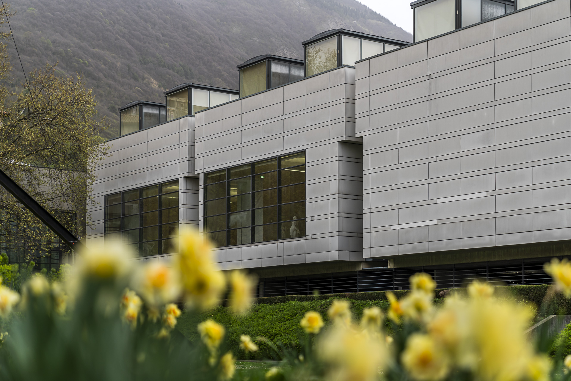 Musée de Grenoble