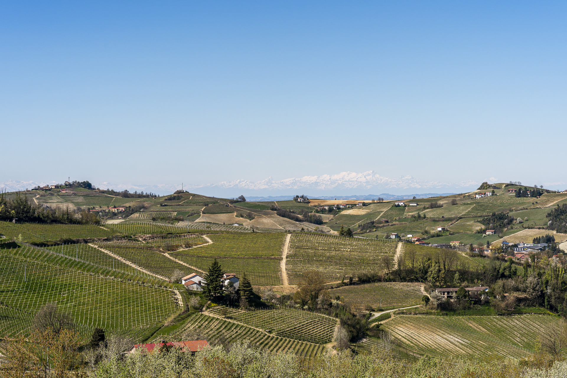 Getting to Giarvino in Monferrato