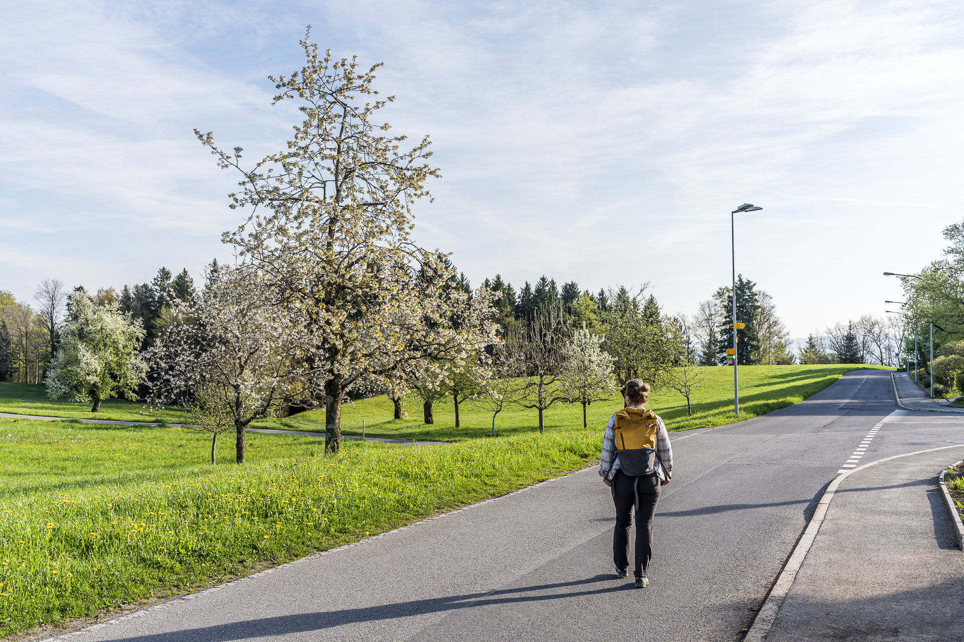 Hiking in Menzingen