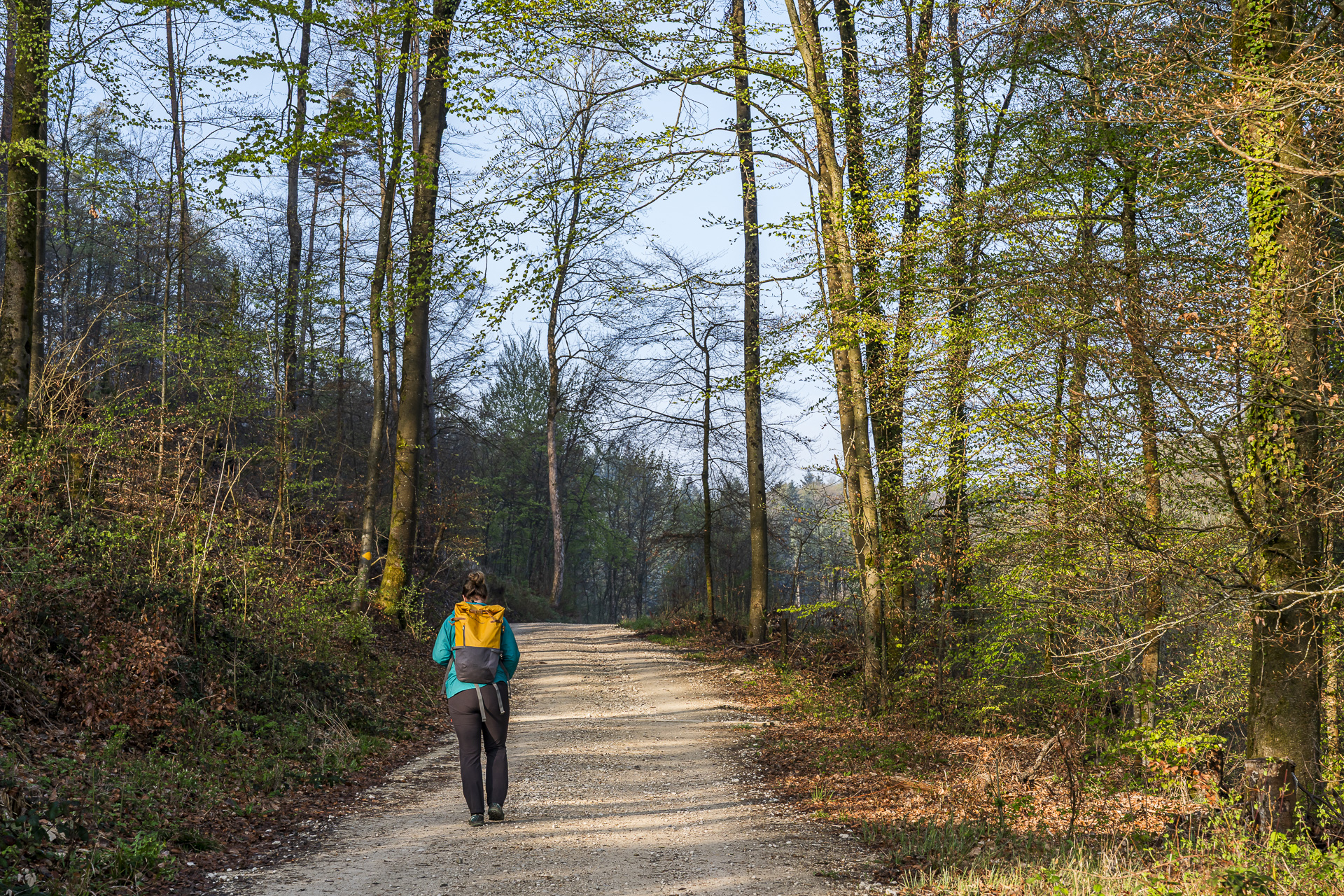 Trilha de Liestal a Nuglar