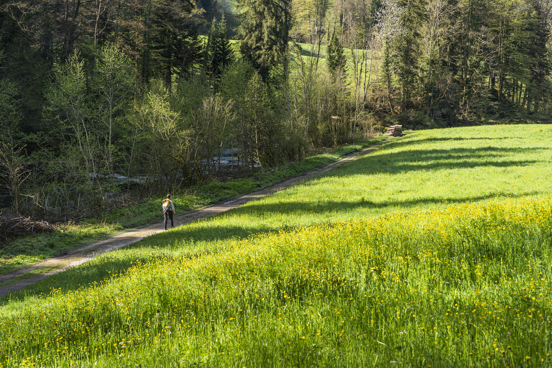 Trail from the Sihlsprung to Sihlbrugg