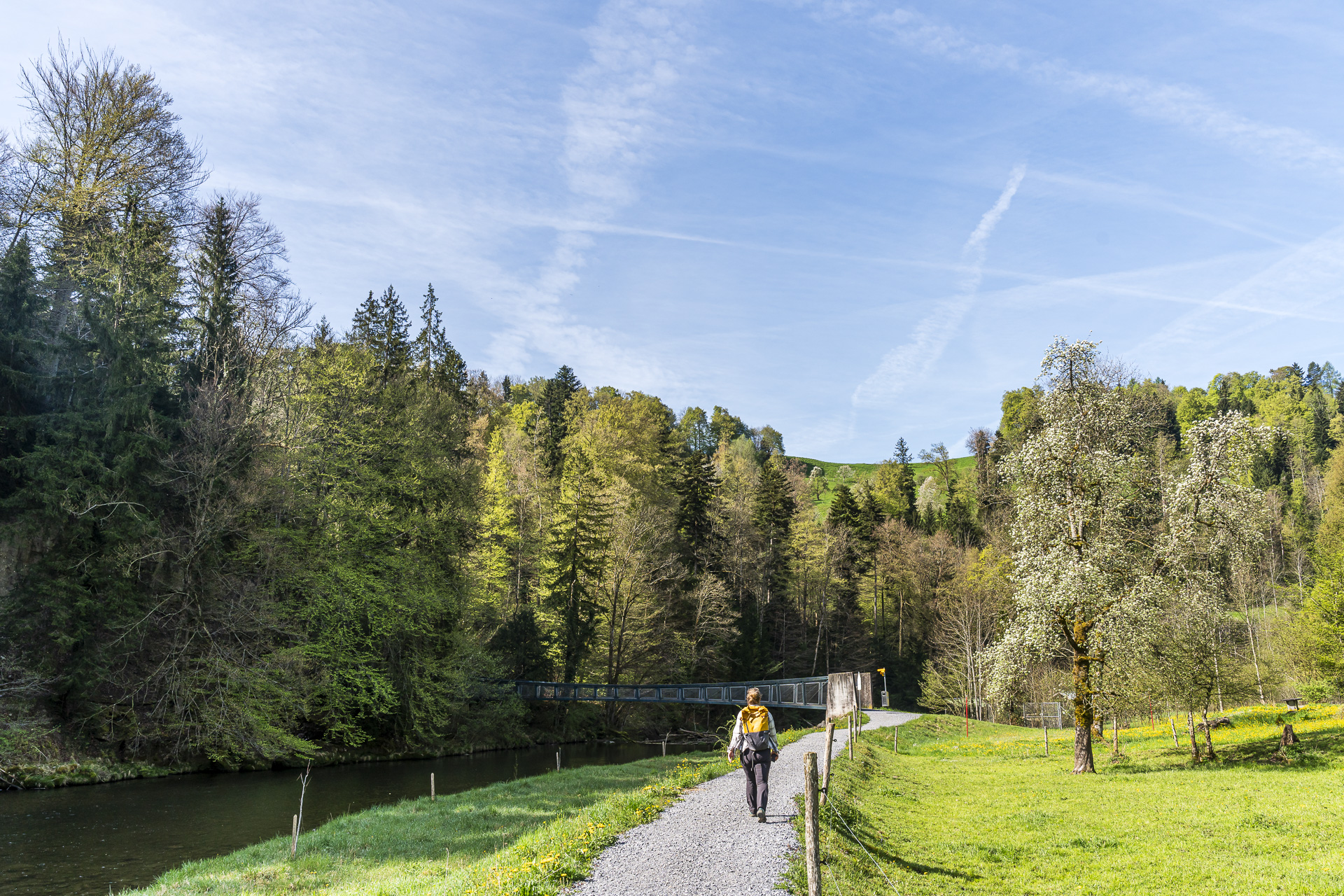 Little boat at Sihlbrugg