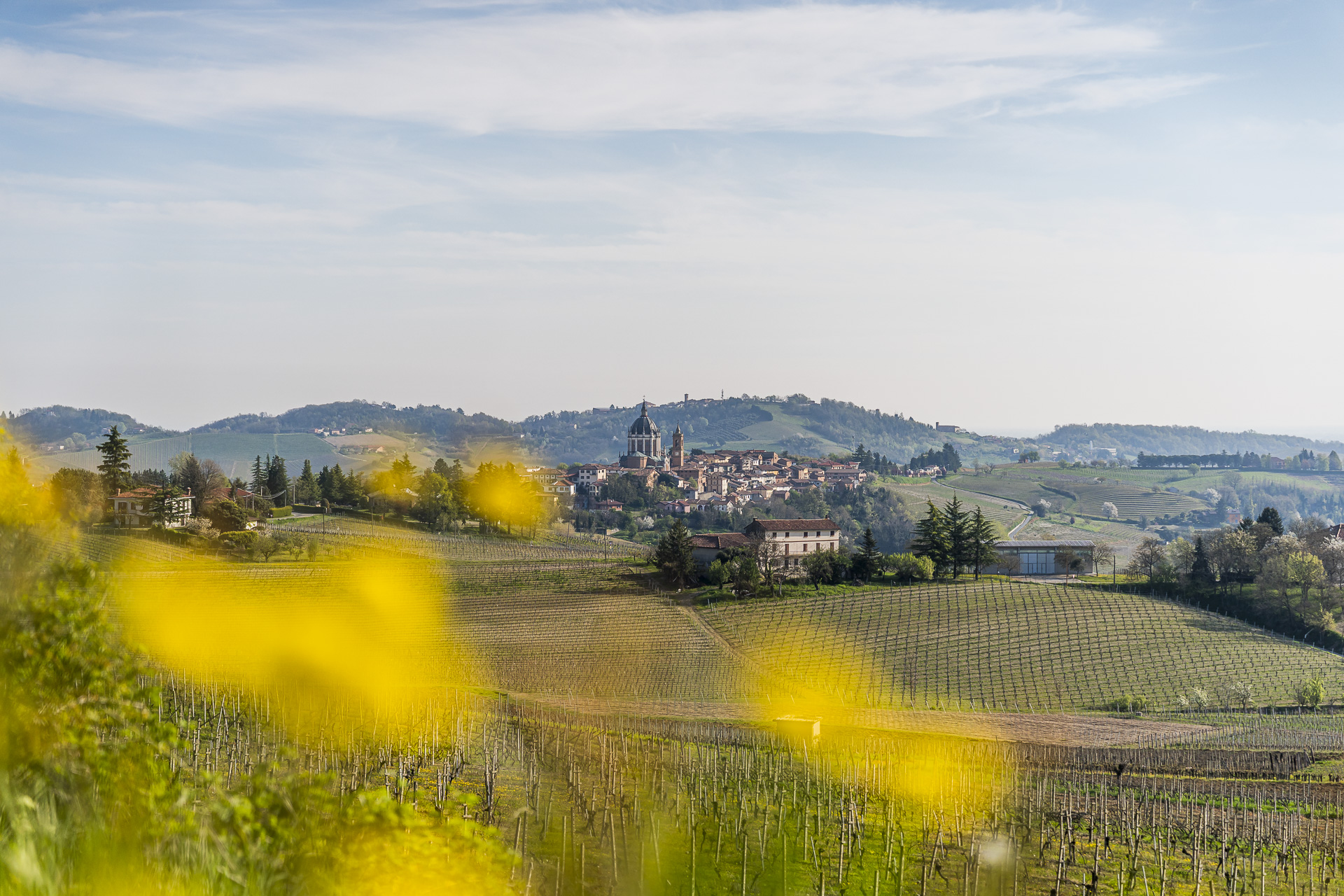 Fontanile