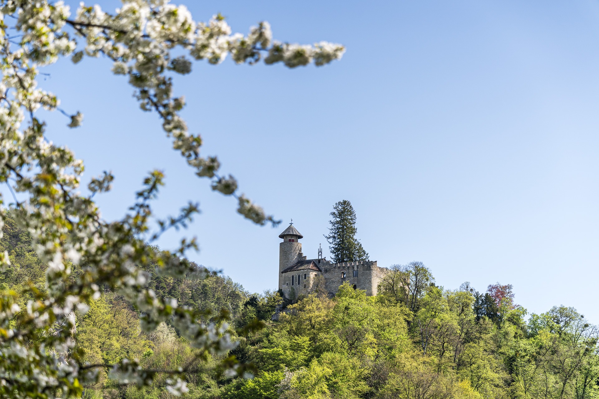 Castelo de Birseck em Arlesheim