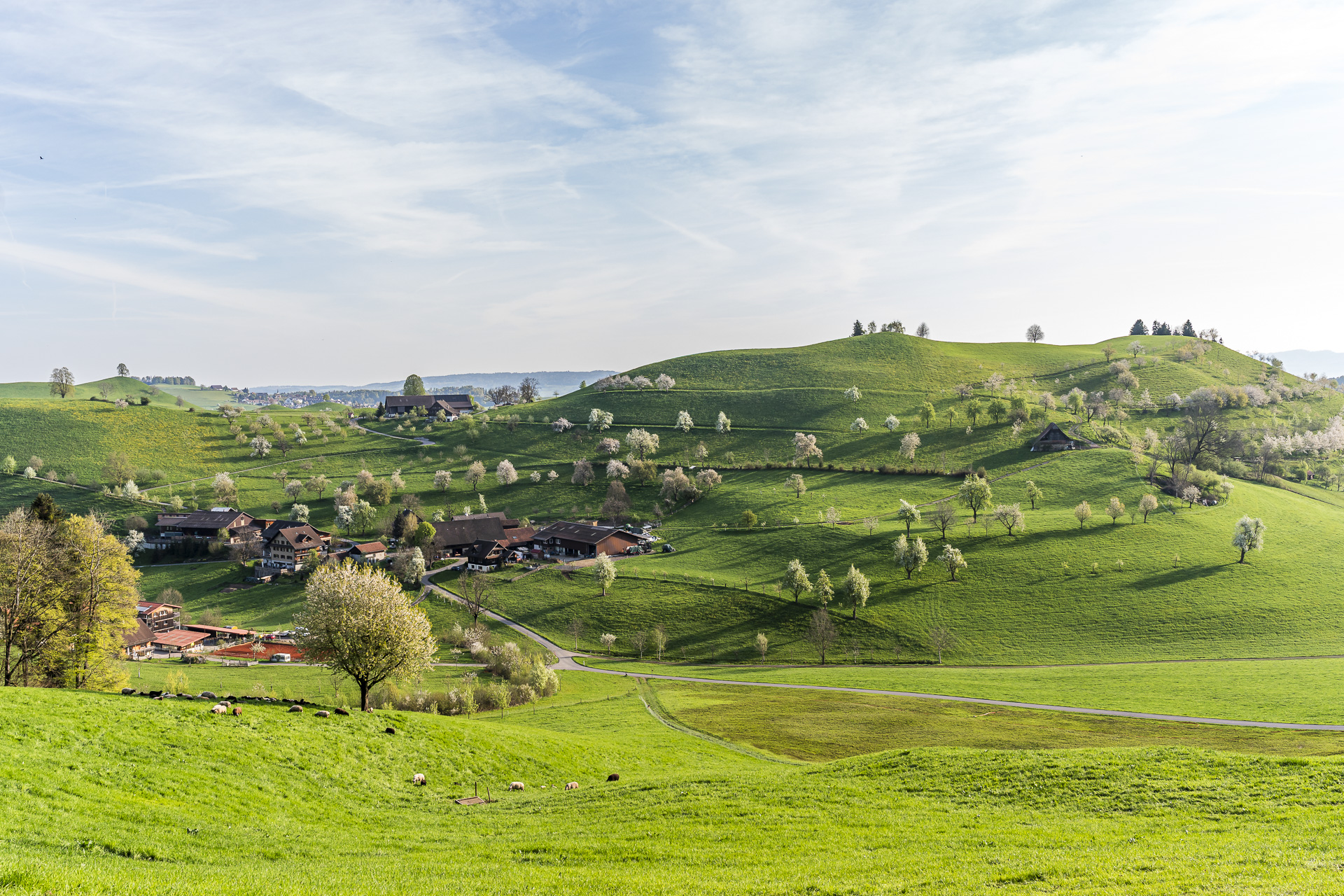 Winzwilen near Menzingen
