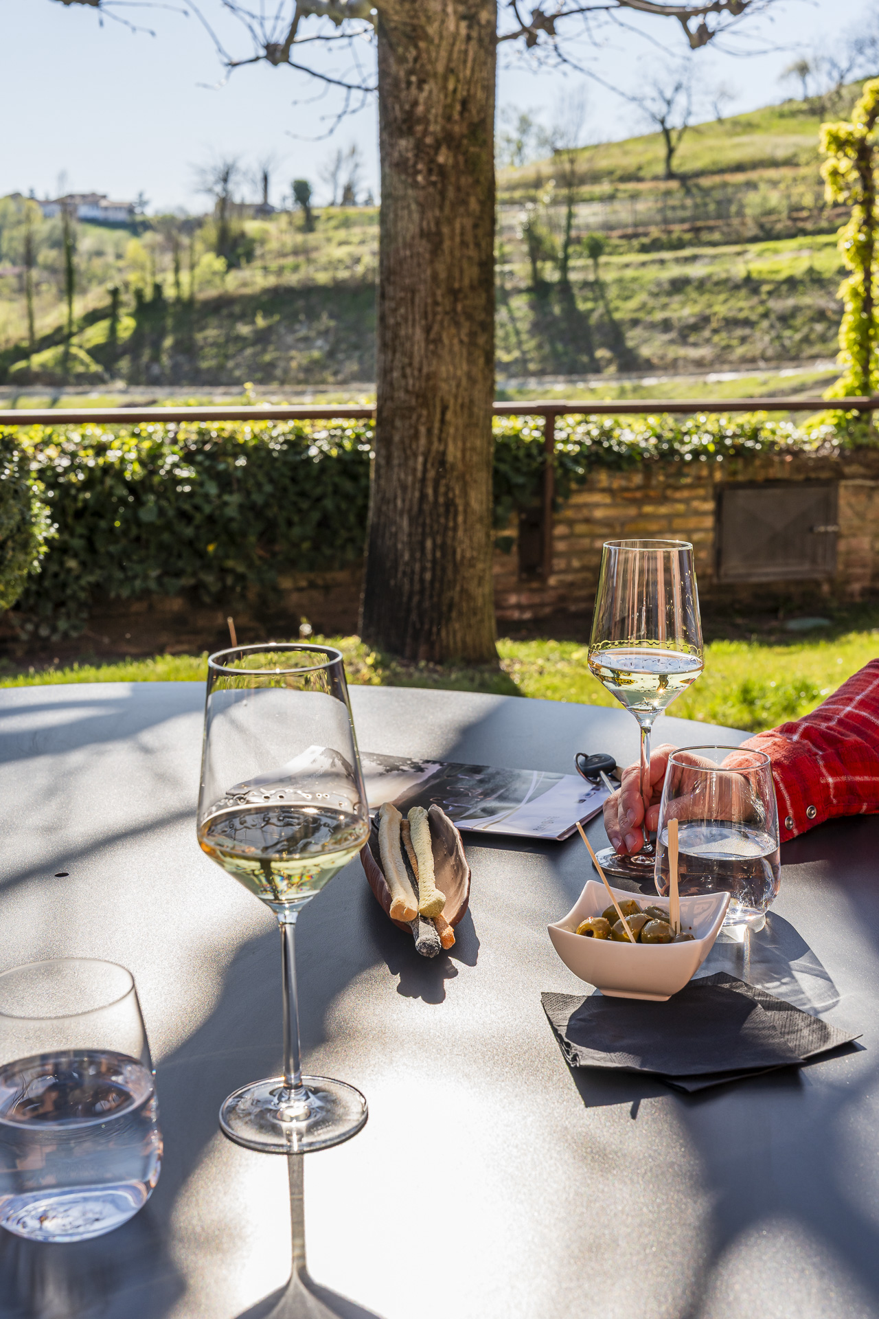 Aperitivo in the Giarvino Guest House garden