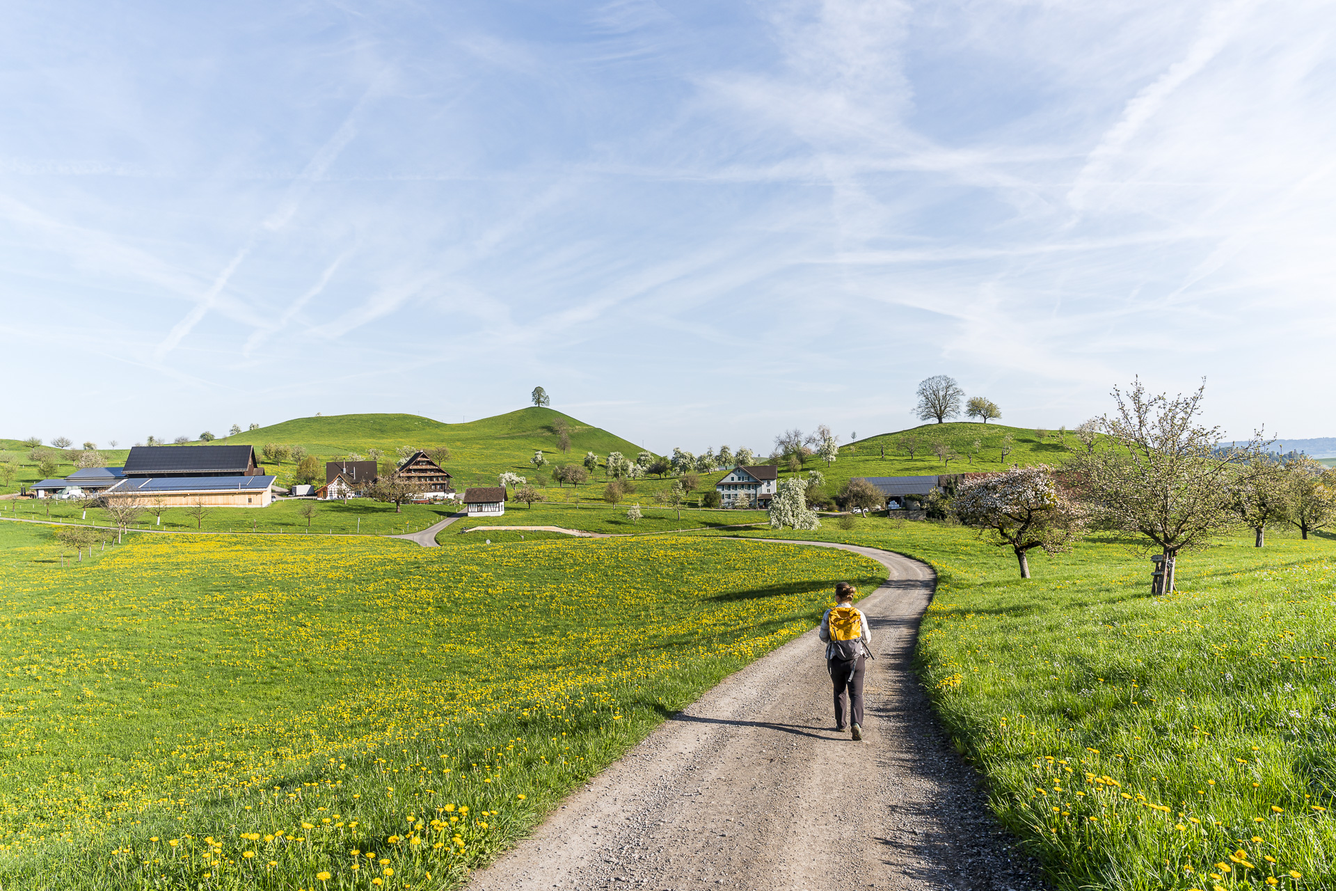 Blachen moraine landscape, Zug