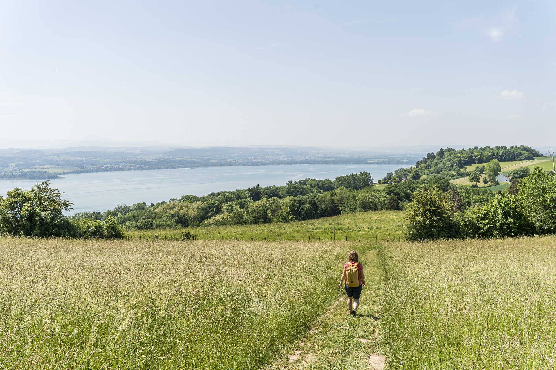 Hike Mont Vully