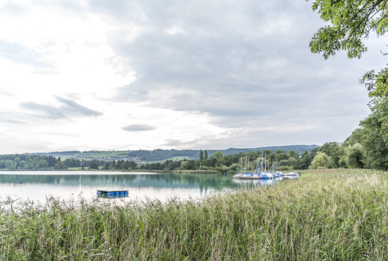 Lake Hallwil Seetal
