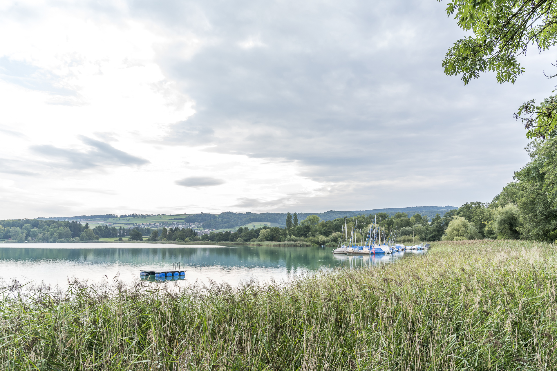 Lake Hallwil Seetal