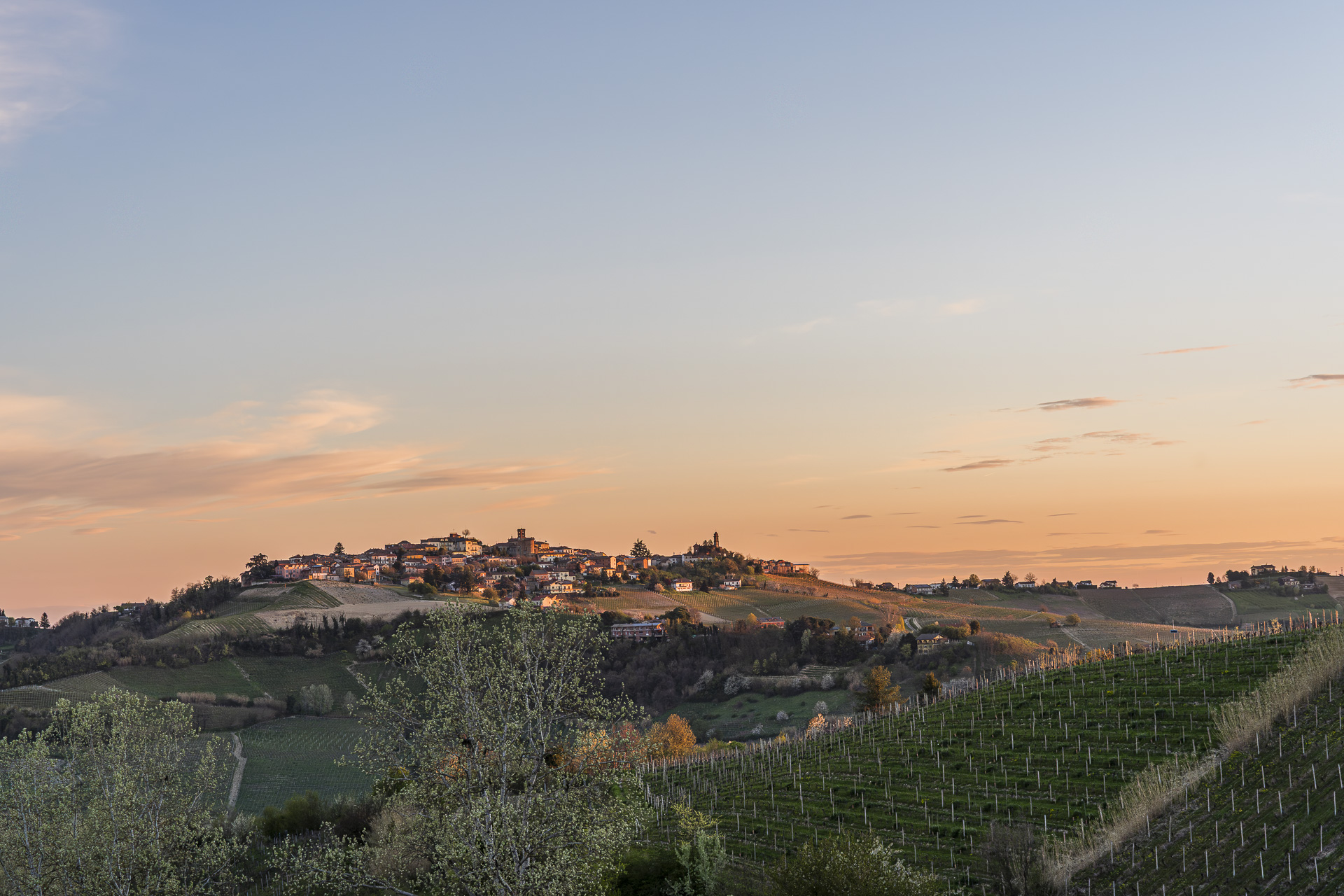 Monferrato, Piedmont