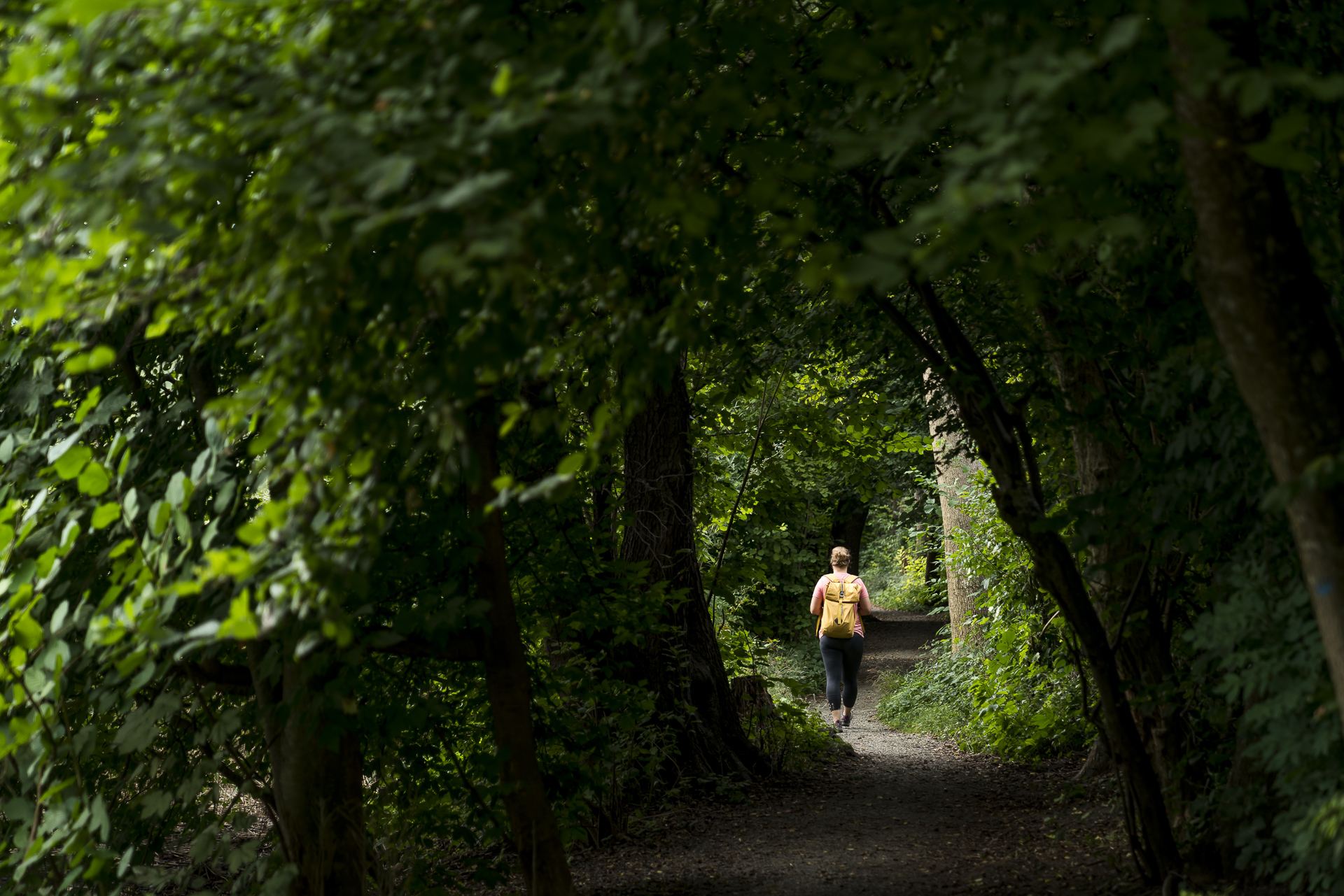 Lake Hallwil shoreline path