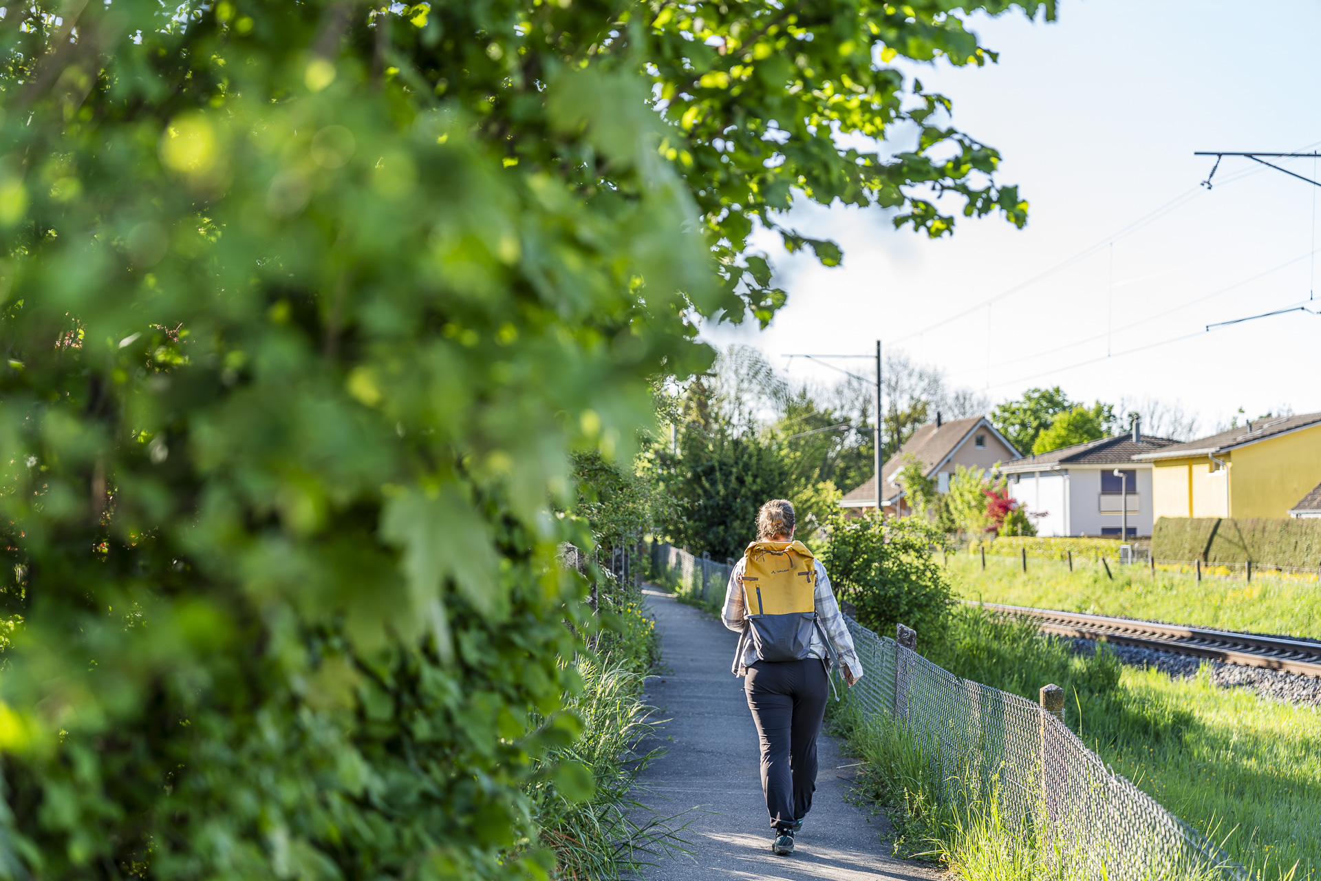 Hiking trail through Dachsen
