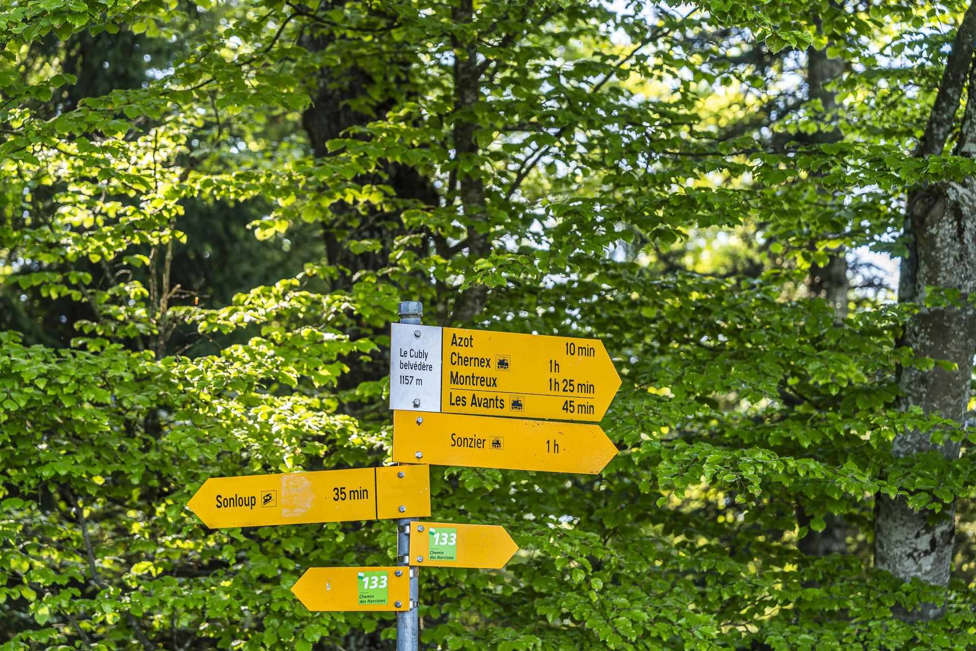 Belvedere Cubly signpost