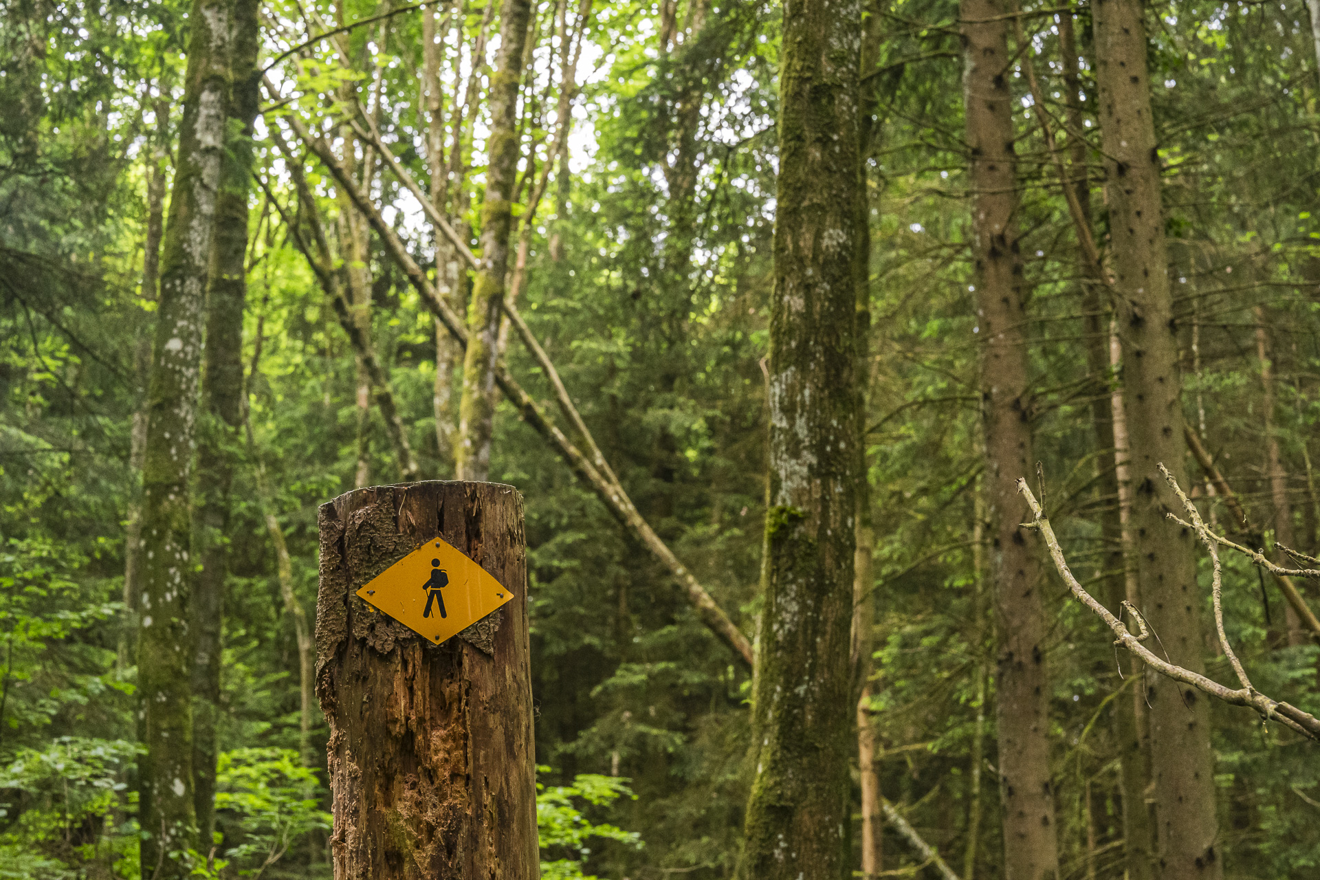 Trail sign in the Teufelskeller
