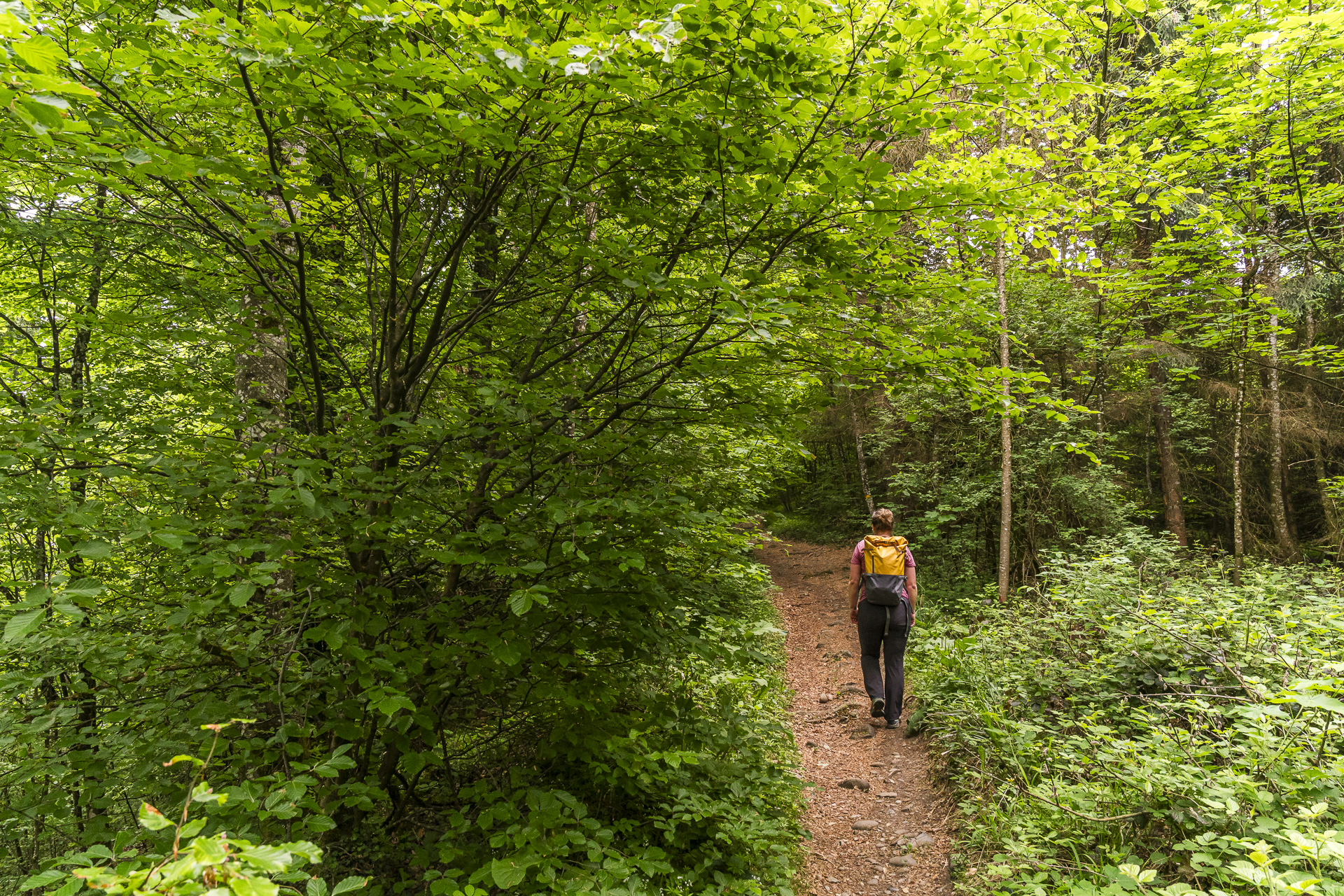 Hiking trails in Baden