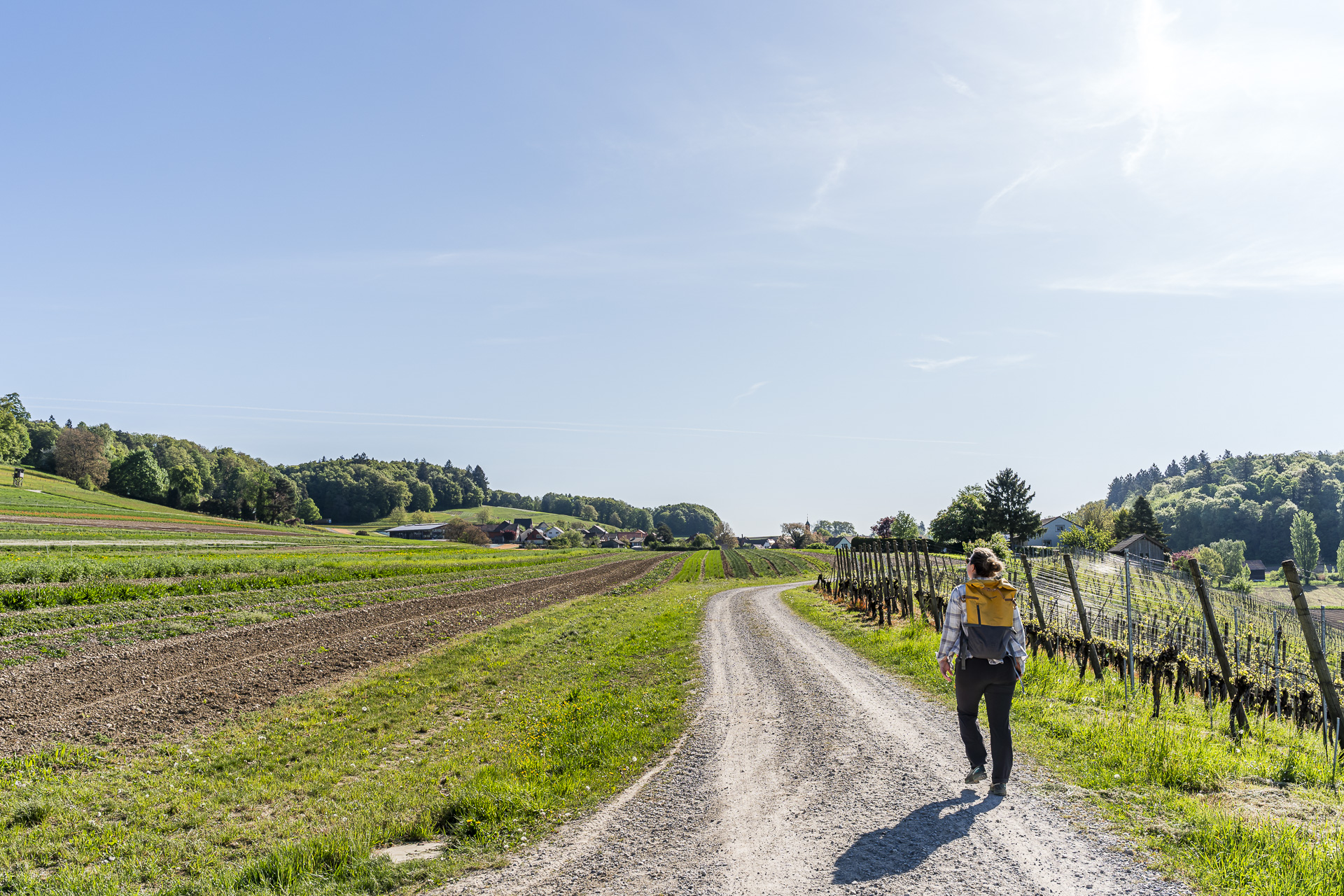 Hike in Wildesbuch